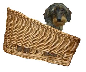 Dachshund graphics
