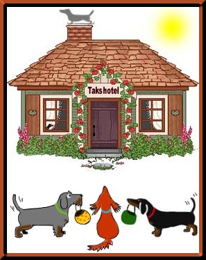 Dachshund graphics