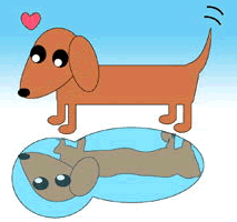Dachshund graphics