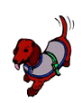 Dachshund graphics