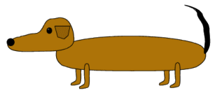 Dachshund