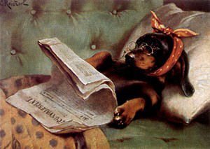 Dachshund graphics