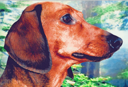 Dachshund graphics