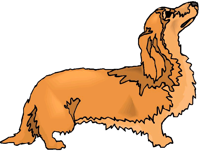 Dachshund graphics