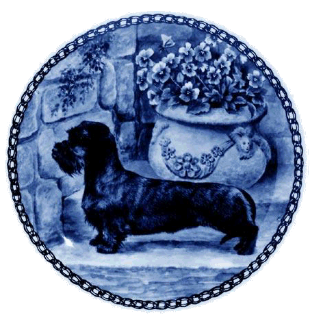 Dachshund graphics