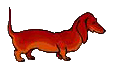 Dachshund graphics