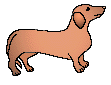 Dachshund graphics