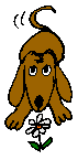 Dachshund graphics