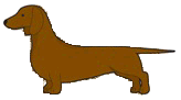 Dachshund graphics