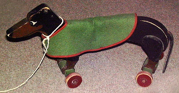 Dachshund