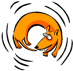 Dachshund graphics