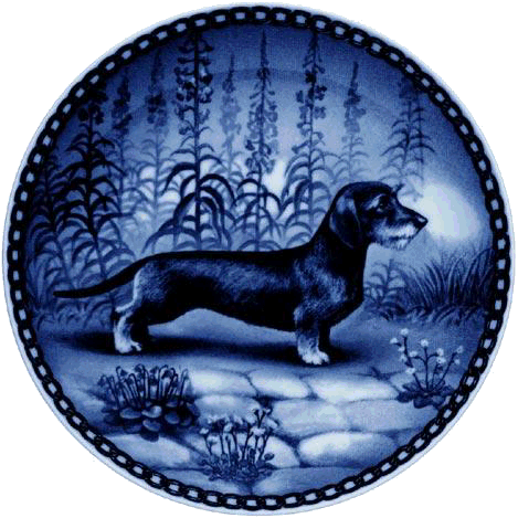 Dachshund graphics