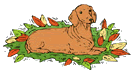 Dachshund graphics