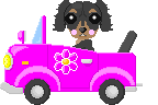 Dachshund graphics