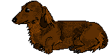 Dachshund graphics