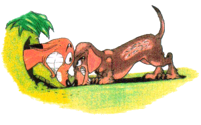 Dachshund graphics