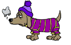 Dachshund