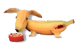 Dachshund graphics