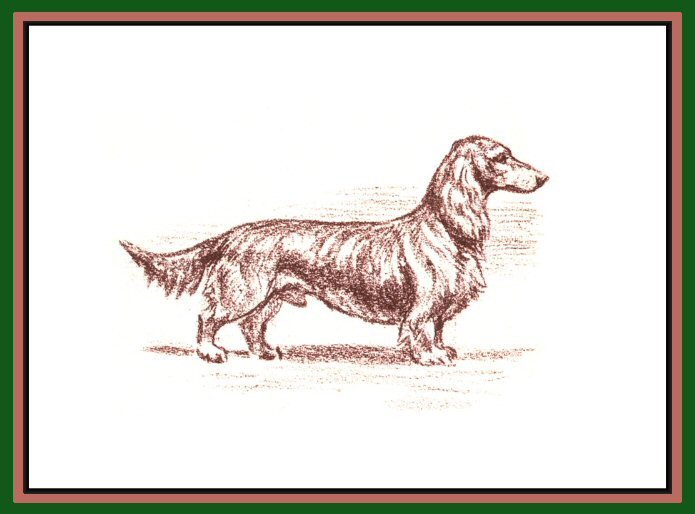 Dachshund graphics