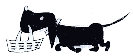 Dachshund