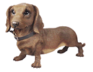 Dachshund graphics