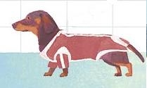 Dachshund graphics