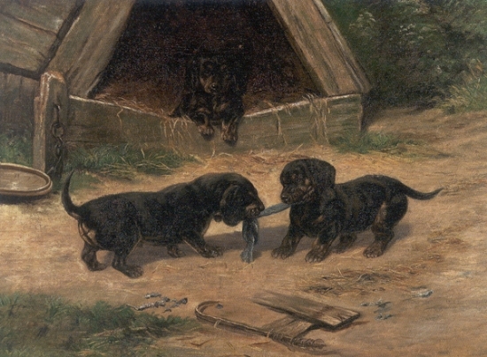 Dachshund graphics