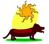 Dachshund graphics