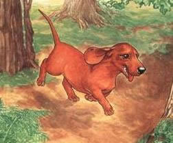 Dachshund graphics