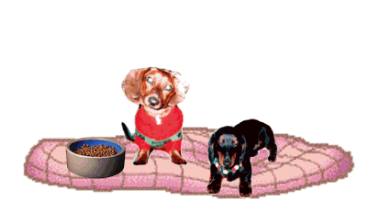 Dachshund graphics