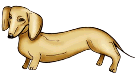 Dachshund graphics