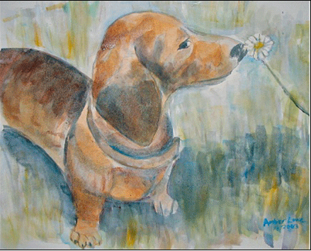 Dachshund graphics