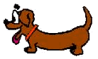 Dachshund graphics