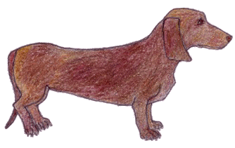 Dachshund graphics