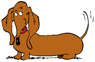 Dachshund graphics