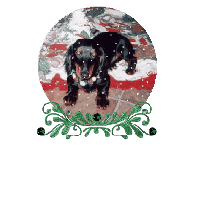 Dachshund graphics