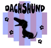 Dachshund graphics