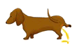 Dachshund graphics