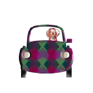 Dachshund graphics