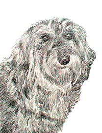 Dachshund graphics