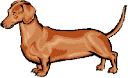 Dachshund graphics