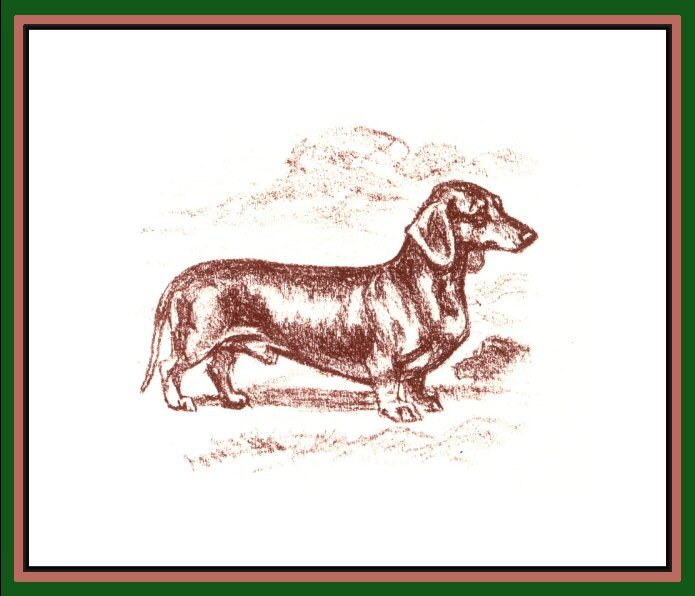 Dachshund graphics