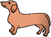 Dachshund graphics