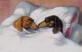 Dachshund graphics