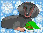Dachshund graphics