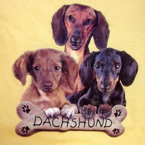 Dachshund graphics