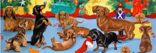 Dachshund graphics