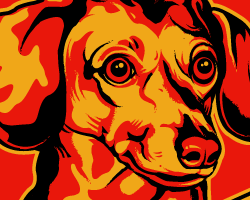 Dachshund graphics