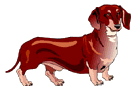 Dachshund graphics