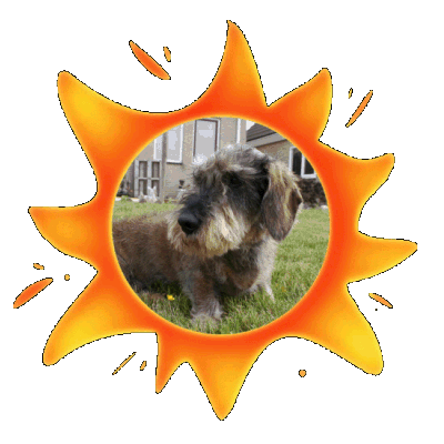 Dachshund graphics